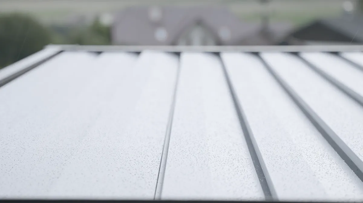 Regenwaterafvoer van het dak ge&iuml;ntegreerd